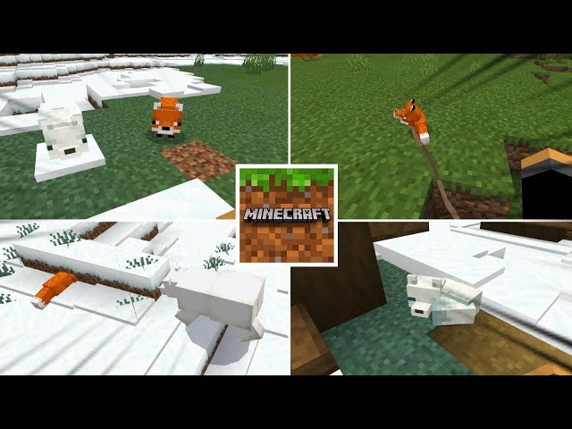 VOCÊ SABIA DISSO? TUDO SOBRE AS RAPOSAS DO MINECRAFT POCKET EDITION 1.13 BETA!