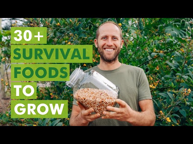 30+ Survival Foods to Grow to Live on Your Garden (in Florida)