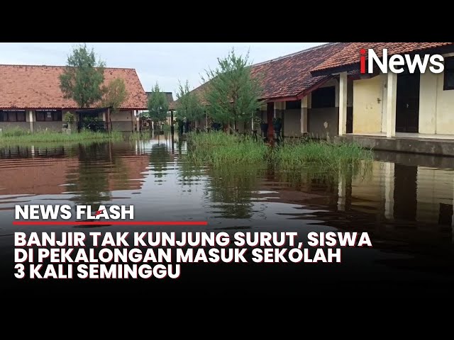 Ratusan Siswa SMPN 3 Tirto Terpaksa Sekolah Bergilir akibat Banjir | News Flash