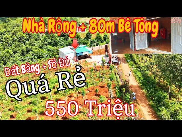 QUÁ RẺ ! NHÀ VƯỜN RỘNG + 80M MẶT TIỀN BÊ TÔNG TỔNG CHỈ 550 TRIỆU TL 6 200M, GẦN CHỢ TRƯỜNG HỌC