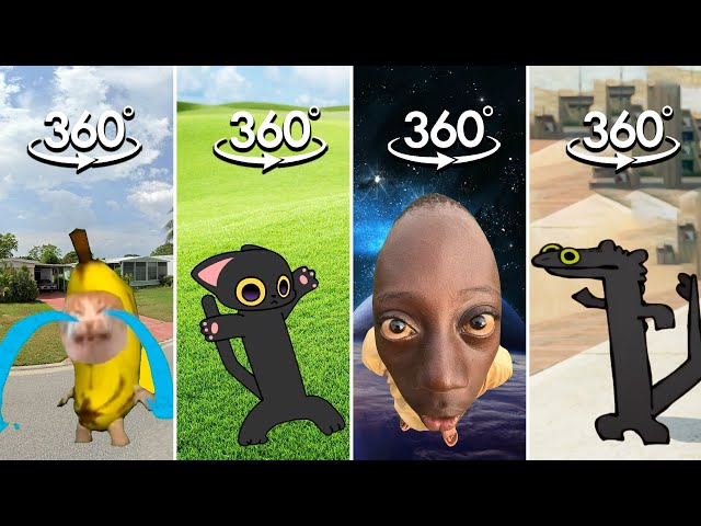 FIND Toothless Dance But Cat and Banana Crying Meme COMPILATION | Finding Challenge 360º VR Video