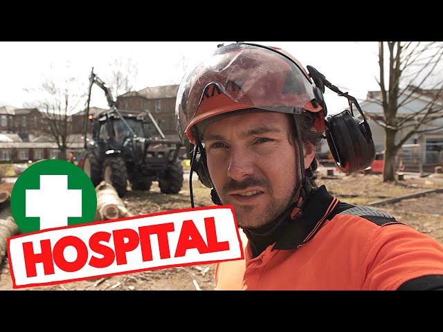 UK Arborist VLOG (Hospital site clearance)