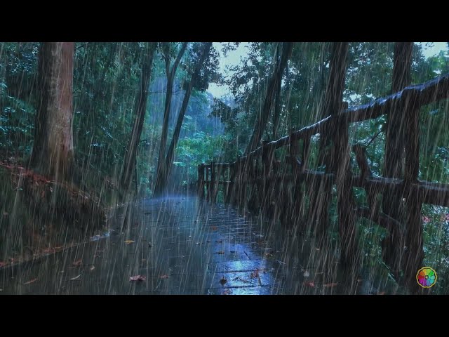 ✅Rain and thunder sounds of beautiful woods, healing soothing thunderstorm sounds asmr, nature music