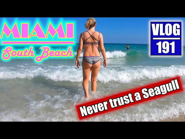 Cheap FOOD & a FREE Show in SOUTH BEACH ~ VLOG #191