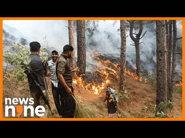 Forest Fire Breaks Out Along LoC In Mendhar, Poonch District | News9