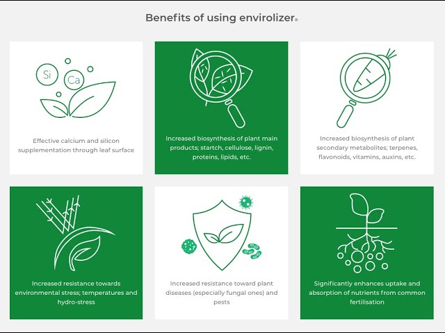 Smallholders Field Spraying with Envirolizer   Together, we can make a difference!