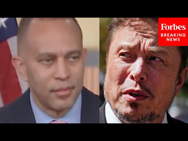 Reporter To Hakeem Jeffries: 'What Do You See As The Options Democrats Have' To Push Back On Musk?