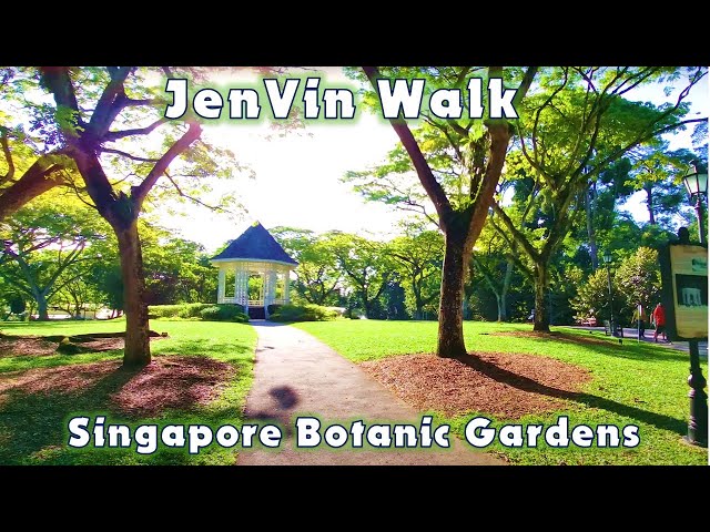 [4K] Walking Around Singapore Botanic Gardens to Symphony Lake