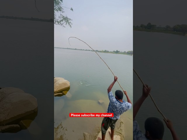 Rohu fish catching tips & techniques | रोहू मछली कैसे मरे | #shorts #fishing