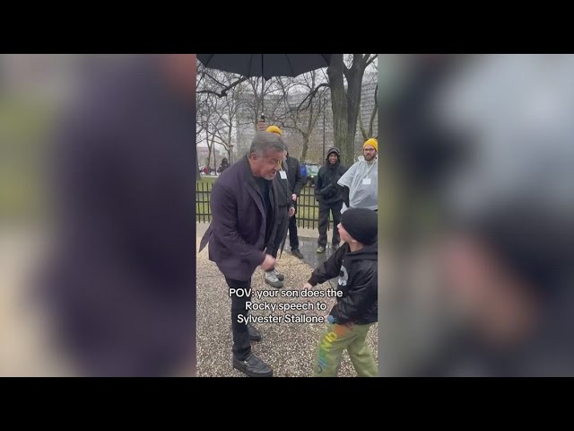 Kid recites 'Rocky' speech to Sylvester Stallone in viral TikTok video