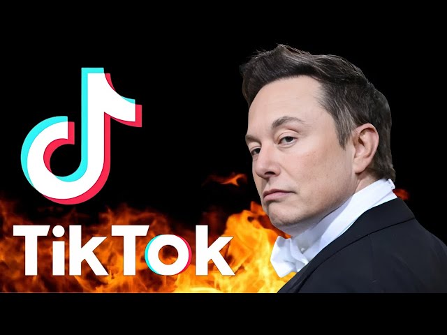 CAN ELON MUSK BUY TIK TOK? (THE REALITY)