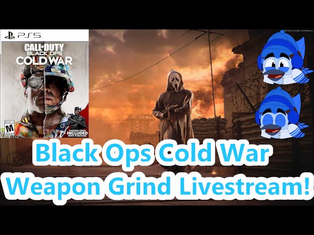 Call Of Duty Black Ops Cold War Multiplayer Weapon Grind Livestream!