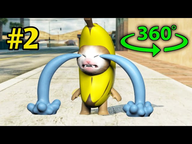 Giant Crying Banana Cat Finding Challenge #4 But It's 360 degree video