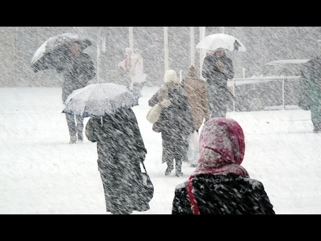 How to Survive a Winter Storm