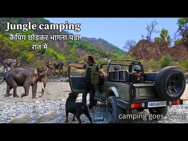 रात में हाथी आ गया भागना पड़ा | Jungle Camping | Night Camping | Car Camping 5 Feb