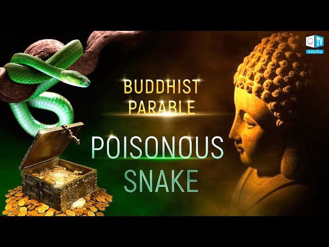 A Poisonous Snake. A Buddhist Parable