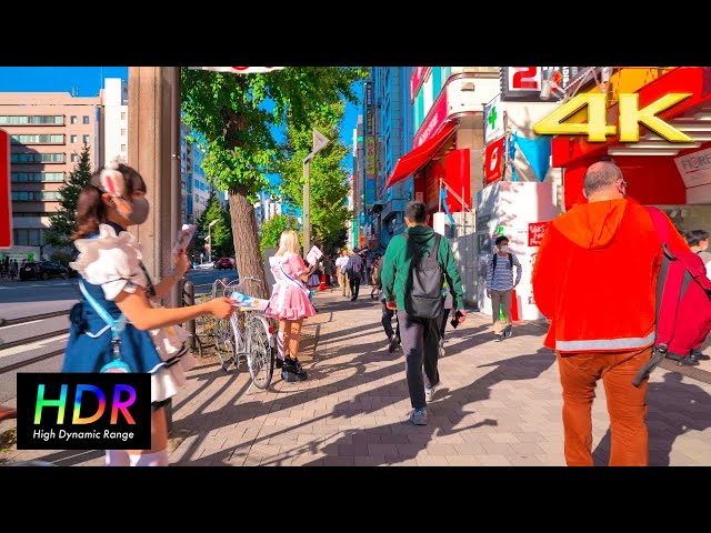 【4K HDR】Tokyo Walk in Akihabara｜Holiday anime and manga mecca