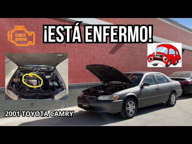 Actualización de mi carro | Toyota Camry XV20