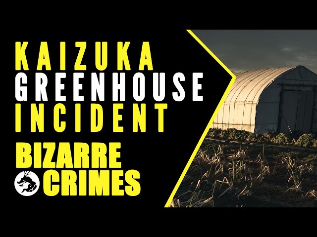 Bizarre Crimes & Disappearances: Kaizuka Greenhouse Incident