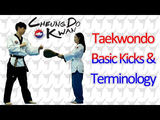 Taekwondo Basic Kicks & Terminology