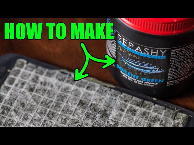 No Waste! How I make Repashy Gel Fish Food