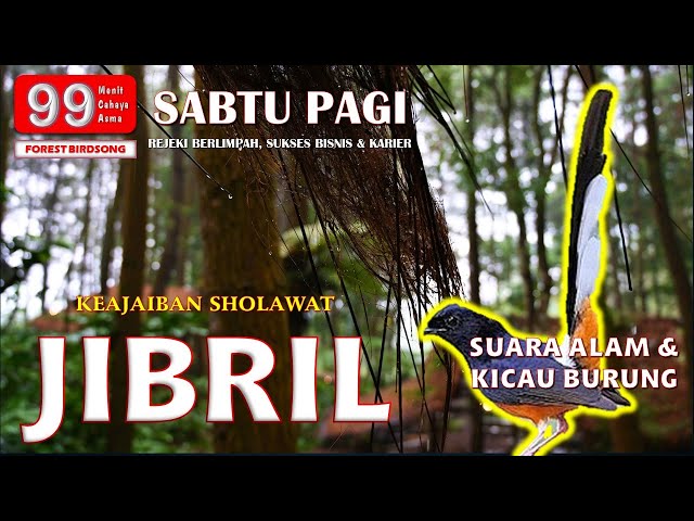 SHOLAWAT JIBRIL PENARIK REJEKI DENGAN MUSIK ALAM & KICAU BURUNG | SABTU PAGI