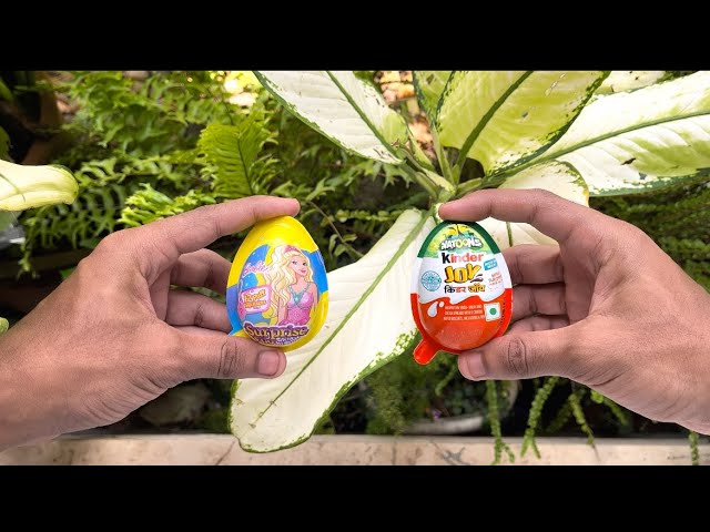 Barbie Surprise Egg 🍳 Vs Kinder Joy