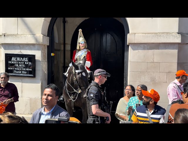 ARMED OFFICER REMOVES THEM FOR HARASSING AND CROWDING THE KINGS GUARD HORSE