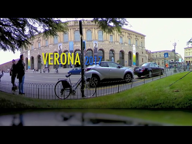 Verona 2017 360Fly4K 2 injected