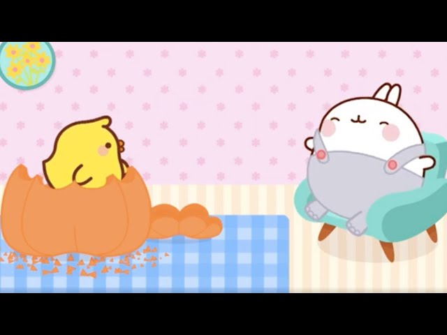 Molang Halloween Special | The pumpkin | Cartoons For Kids | Cartoon Crush