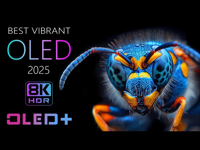 BEST OF OLED - Special Vision 2025 in 8K HDR | Dolby Vision™