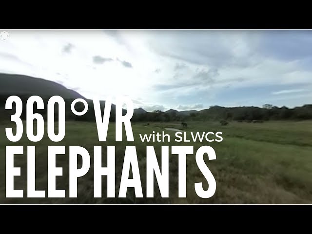 360VR: Elephants in Sri Lanka