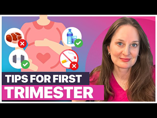 First Trimester Pregnancy: Everything You Need to Know from a Fertility Doctor