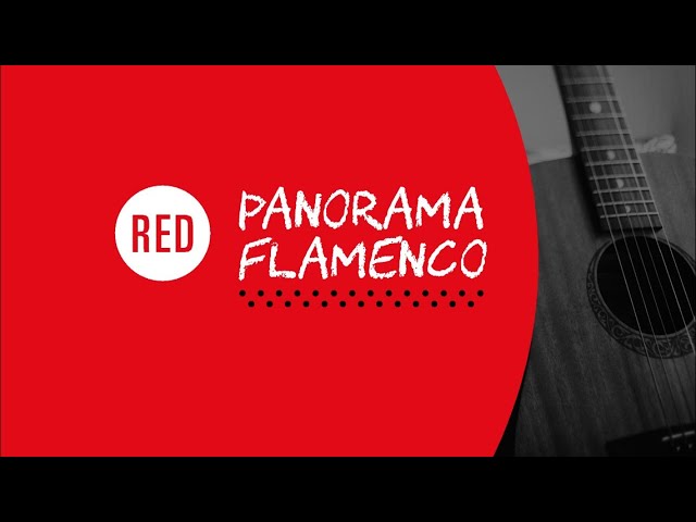 Red Panorama Flamenco #2