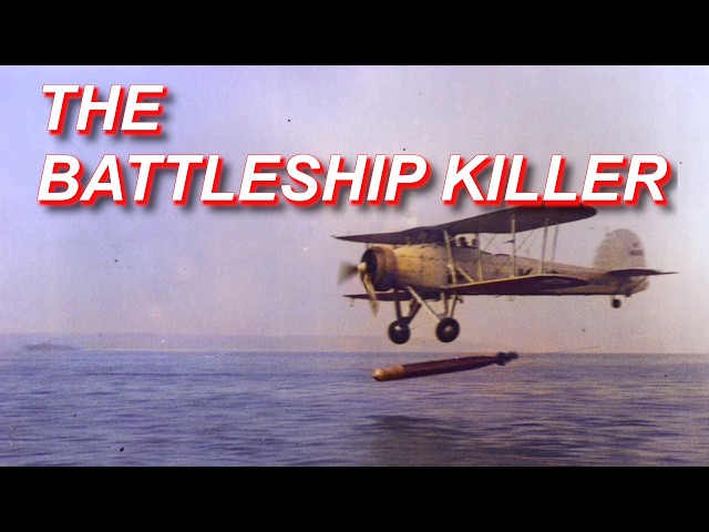 Slow But Somewhat Deadly - History of the Fairey Swordfish [ WWII DOCUMENTARY ]