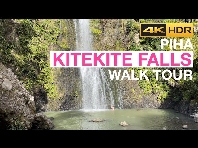 Kitekite Track to Waterfall Walking Tour Piha New Zealand [4K HDR]