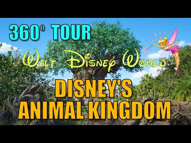 Walt Disney World Animal Kingdom - 360 Degree Virtual Tour