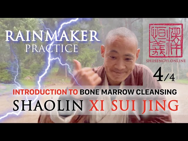 Introduction to Xi Sui Jing (4/4) ⛈️ Form Demonstration ⛈️