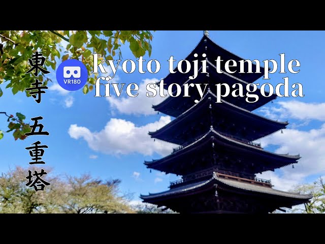 Kyoto Toji Temple five-story pagoda and double cherry blossoms 京都 東寺 五重塔と八重桜