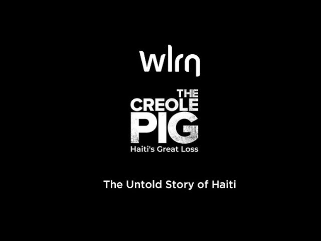 From Creole Pigs to Rice Imports..The Untold Story Haiti