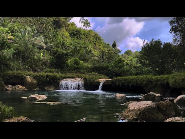 relaxation for sleeping with the sound of waterfalls & nature sounds & bird sounds, relieves stress,