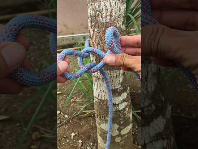 Incredible Bowline Knot With Quick Release  #knot #survivalknots #rope