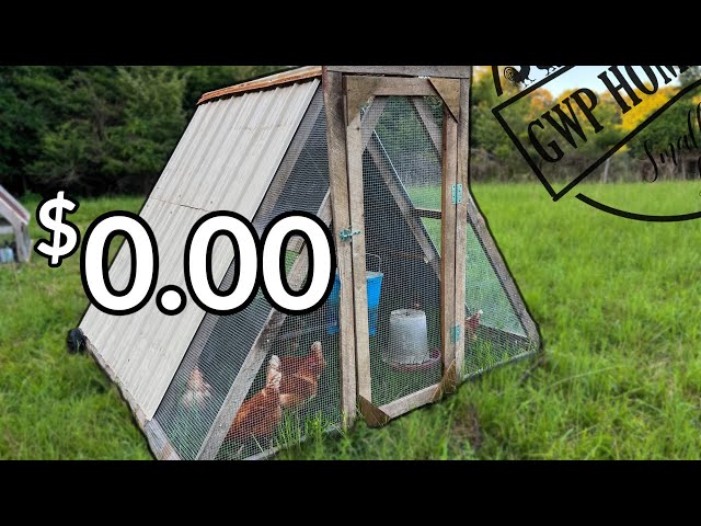 Can You Build a Chicken Coop for FREE?