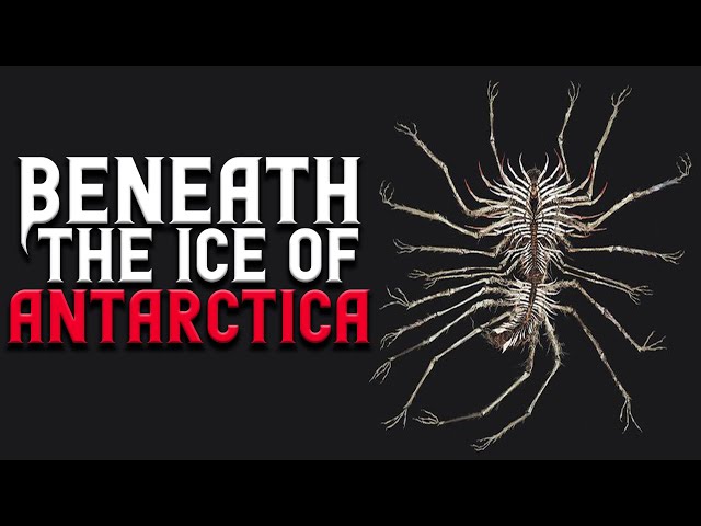 "Beneath The Ice of Antarctica" Scary Stories Found on The Internet | Creepypasta