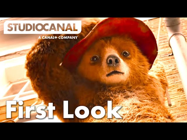 Paddington 2 Out Now!