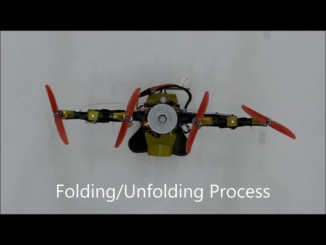 Quad-Morphing Robot