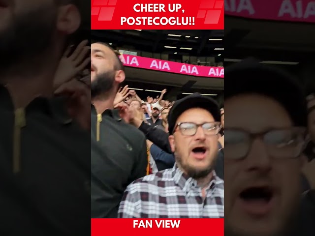 🔴 EPIC!!  ARSENAL FANS CHANT🎶 Cheer up, Postecoglu! 🎶🤣 SPURS vs ARSENAL #shorts #fanview