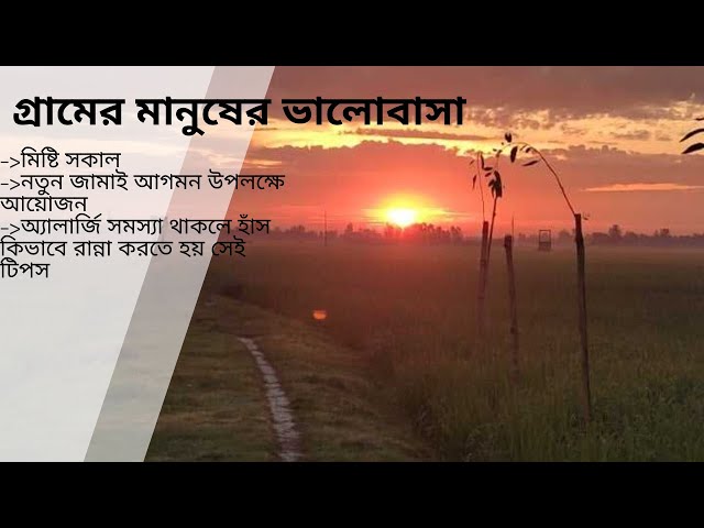 village tour vlog |  Bangladeshi village lifestyle in north site