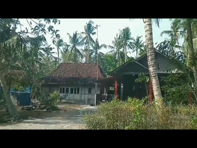 Village life, Fertile rice fields, simple life in the countryside