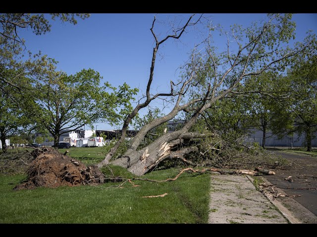 Michigan tornado inflicts damage upon Portage and Kalamazoo